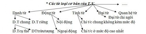 từ loại cơ bản cua tiếng việt