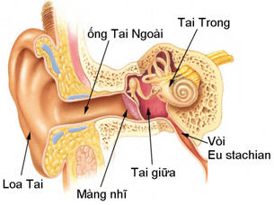 viem tai giua
