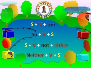 too-so-either-neither
