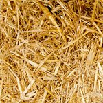 Đọc hiểu: Tống biệt hành ( Thâm Tâm )