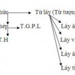 TIẾNG VIỆT TIỂU HỌC- LUYỆN TỪ VÀ CÂU ( BÀI 1)