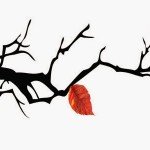 Cảm nhận về: “Chiếc lá cuối cùng” của O’Hen-ri