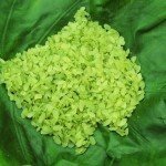 Soạn bài Một thứ quà của lúa Non-Cốm