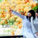 Soạn bài Tiếng nói của văn nghệ