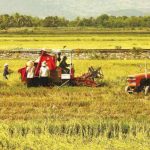 Bài 7: Chuyển dịch cơ cấu kinh tế ở nước ta